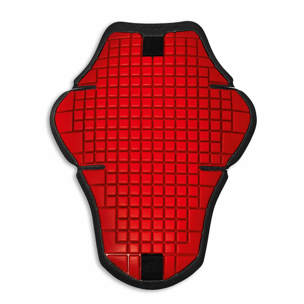 BACK PROTECTOR JACKET WARRIOR