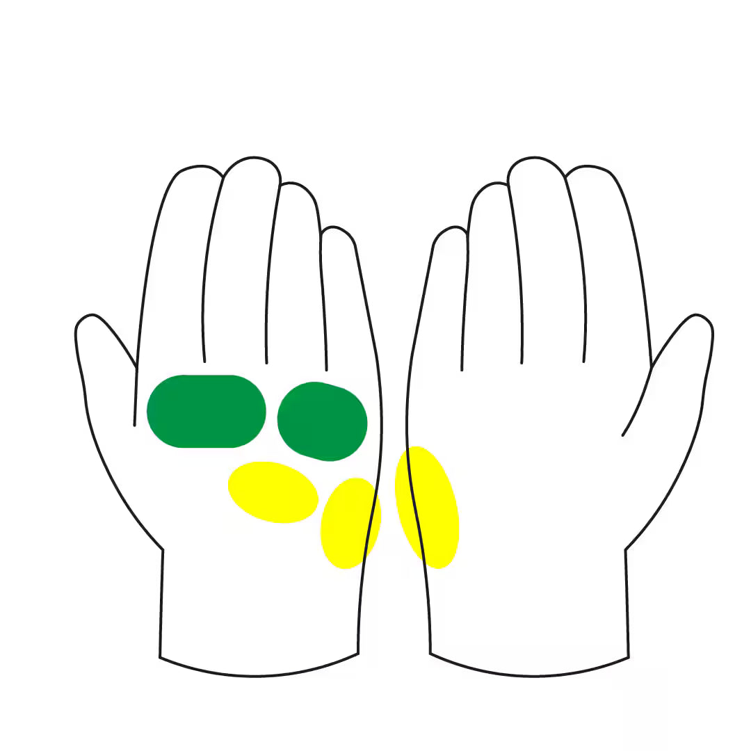 DUCATI GLOVES SUMMER C4
